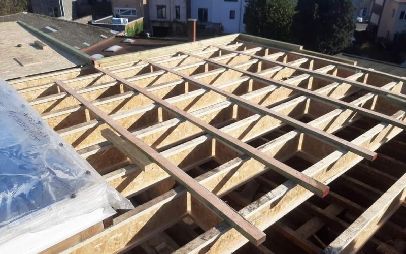 WhatsApp Image 2022-10-13 at 1.54.32 PM (3)