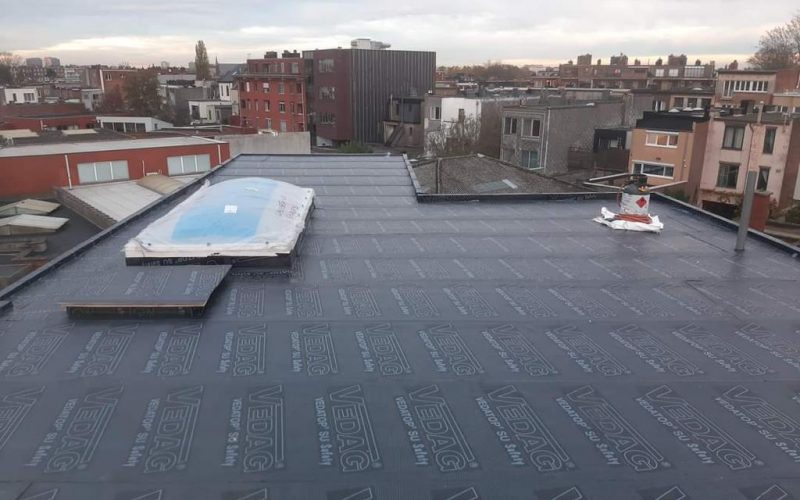 WhatsApp Image 2022-10-13 at 1.54.35 PM (1)