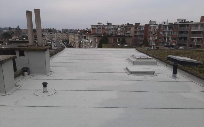 WhatsApp Image 2022-10-13 at 1.54.37 PM (1)