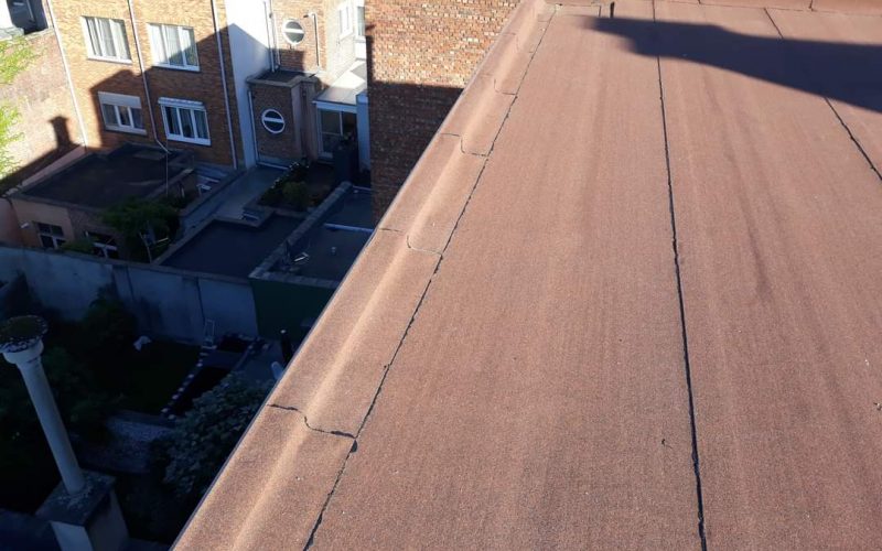 WhatsApp Image 2022-10-13 at 1.54.46 PM