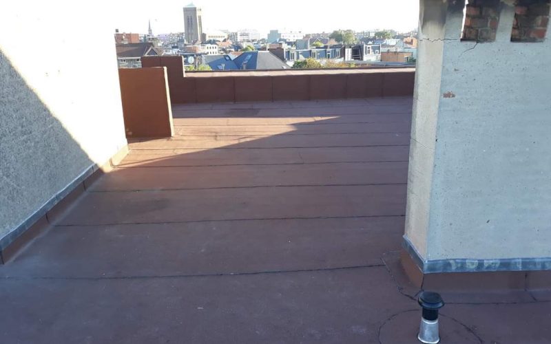 WhatsApp Image 2022-10-13 at 1.54.48 PM (3)