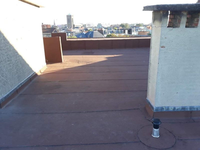 WhatsApp Image 2022-10-13 at 1.54.48 PM (3)