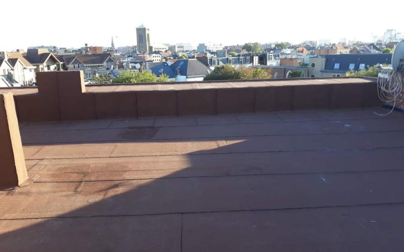 WhatsApp Image 2022-10-13 at 1.54.49 PM