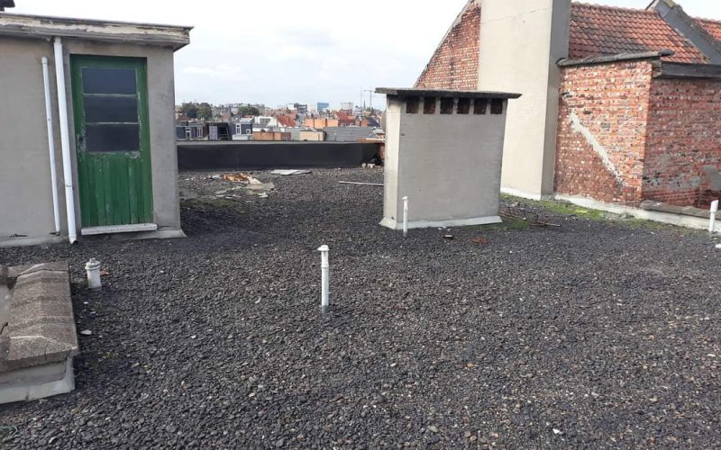 WhatsApp Image 2022-10-13 at 1.54.50 PM