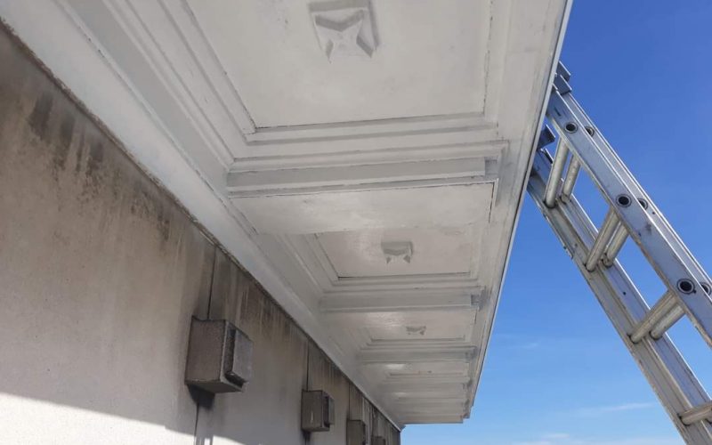 WhatsApp Image 2022-10-13 at 1.54.54 PM (1)