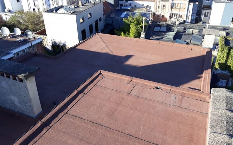 WhatsApp Image 2022-10-13 at 1.54.54 PM (3)