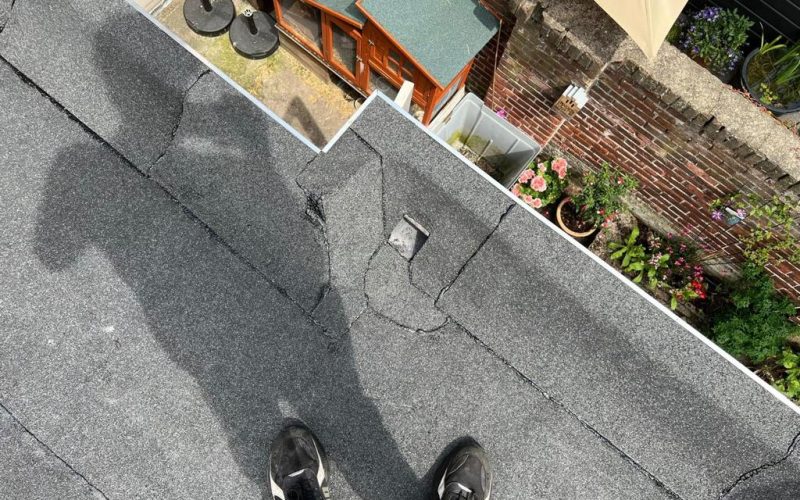 WhatsApp Image 2022-10-13 at 1.55.04 PM